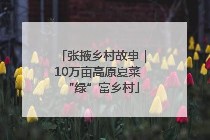 张掖乡村故事｜10万亩高原夏菜“绿”富乡村