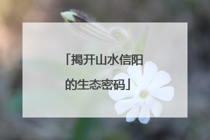 揭开山水信阳的生态密码