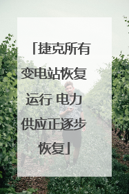 捷克所有变电站恢复运行 电力供应正逐步恢复