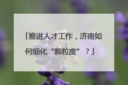 推进人才工作，济南如何细化“颗粒度”？