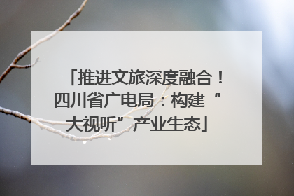 推进文旅深度融合！四川省广电局：构建“大视听”产业生态