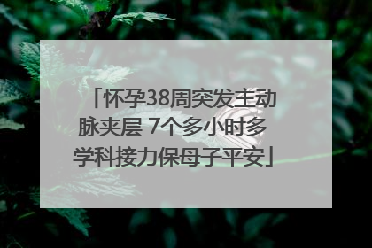 怀孕38周突发主动脉夹层 7个多小时多学科接力保母子平安