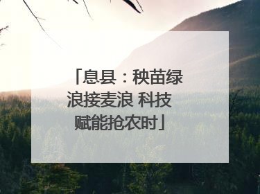 息县：秧苗绿浪接麦浪 科技赋能抢农时