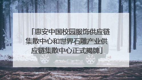 惠安中国校园服饰供应链集散中心和世界石雕产业供应链集散中心正式揭牌