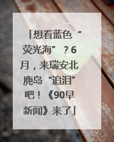 想看蓝色“荧光海”？6月，来瑞安北麂岛“追泪”吧！《90早新闻》来了