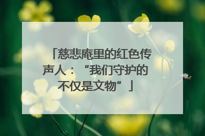 慈悲庵里的红色传声人：“我们守护的不仅是文物”