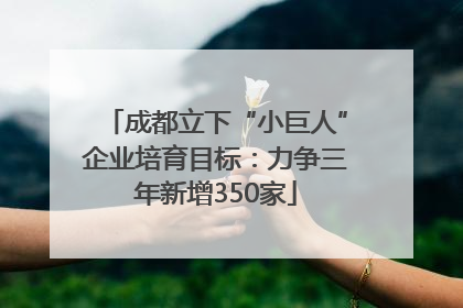 成都立下“小巨人”企业培育目标：力争三年新增350家