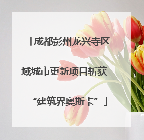 成都彭州龙兴寺区域城市更新项目斩获“建筑界奥斯卡”