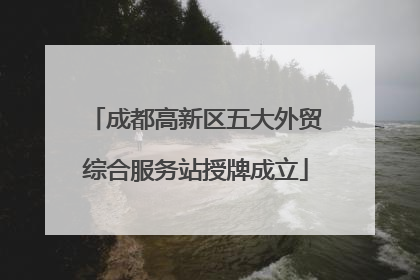 成都高新区五大外贸综合服务站授牌成立