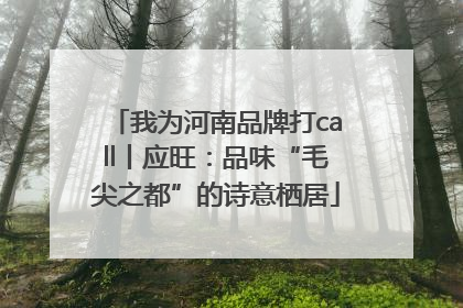 我为河南品牌打call丨应旺：品味“毛尖之都”的诗意栖居