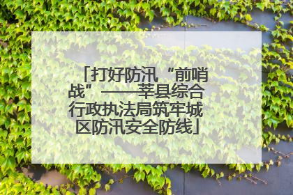 打好防汛“前哨战”——莘县综合行政执法局筑牢城区防汛安全防线
