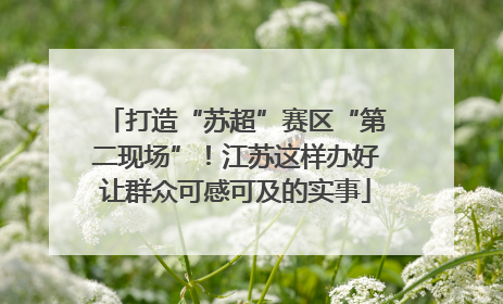 打造“苏超”赛区“第二现场”！江苏这样办好让群众可感可及的实事