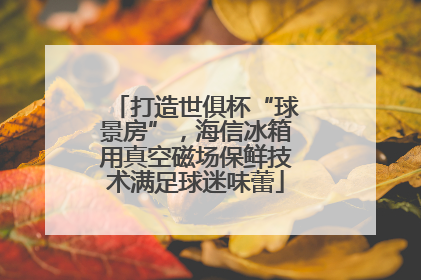 打造世俱杯“球景房”，海信冰箱用真空磁场保鲜技术满足球迷味蕾