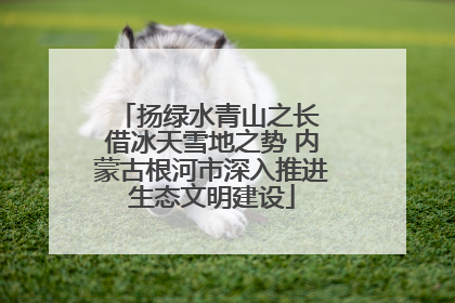 扬绿水青山之长 借冰天雪地之势 内蒙古根河市深入推进生态文明建设
