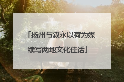 扬州与叙永以荷为媒续写两地文化佳话