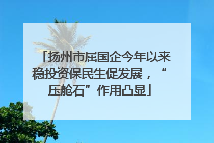扬州市属国企今年以来稳投资保民生促发展，“压舱石”作用凸显
