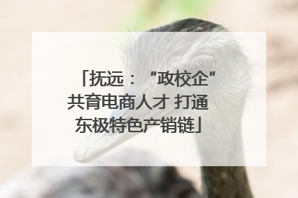 抚远：“政校企”共育电商人才 打通东极特色产销链