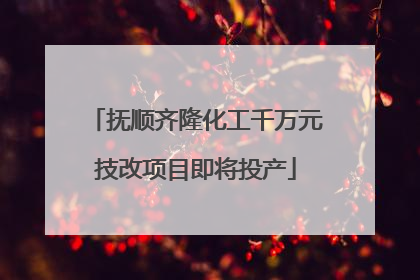抚顺齐隆化工千万元技改项目即将投产