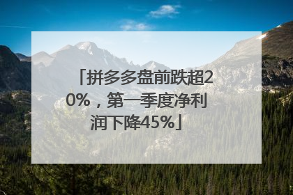 拼多多盘前跌超20%，第一季度净利润下降45%