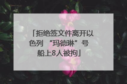 拒绝签文件离开以色列 “玛德琳”号船上8人被拘