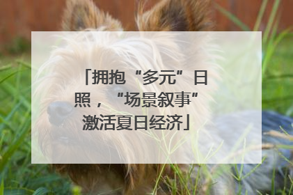 拥抱“多元”日照，“场景叙事”激活夏日经济
