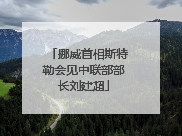挪威首相斯特勒会见中联部部长刘建超