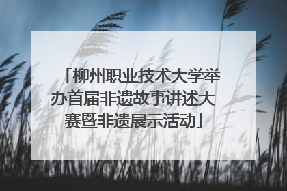 柳州职业技术大学举办首届非遗故事讲述大赛暨非遗展示活动