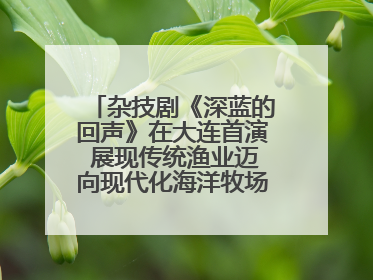 杂技剧《深蓝的回声》在大连首演 展现传统渔业迈向现代化海洋牧场奋斗历程