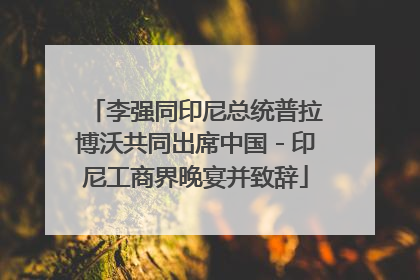 李强同印尼总统普拉博沃共同出席中国－印尼工商界晚宴并致辞