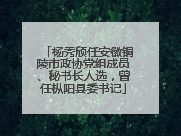 杨秀颀任安徽铜陵市政协党组成员、秘书长人选，曾任枞阳县委书记