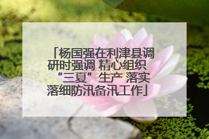 杨国强在利津县调研时强调 精心组织“三夏”生产 落实落细防汛备汛工作