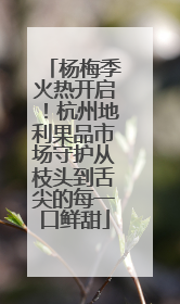 杨梅季火热开启！杭州地利果品市场守护从枝头到舌尖的每一口鲜甜