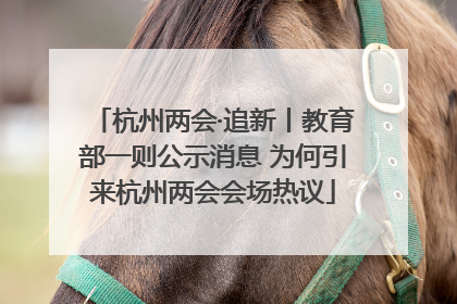 杭州两会·追新丨教育部一则公示消息 为何引来杭州两会会场热议