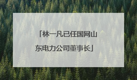 林一凡已任国网山东电力公司董事长