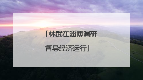 林武在淄博调研督导经济运行