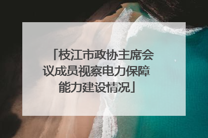 枝江市政协主席会议成员视察电力保障能力建设情况