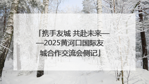 携手友城 共赴未来——2025黄河口国际友城合作交流会侧记