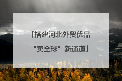 搭建河北外贸优品“卖全球”新通道