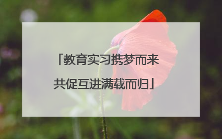 教育实习携梦而来 共促互进满载而归