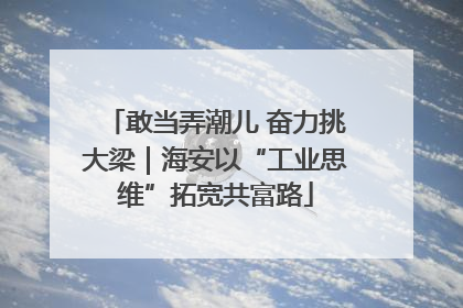 敢当弄潮儿 奋力挑大梁｜海安以“工业思维”拓宽共富路