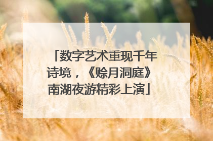 数字艺术重现千年诗境，《赊月洞庭》南湖夜游精彩上演