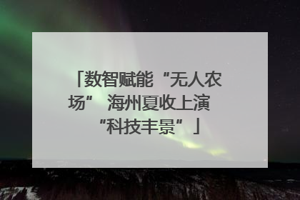 数智赋能“无人农场” 海州夏收上演“科技丰景”