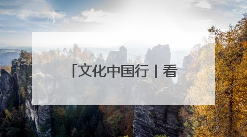 文化中国行丨看鉴海南：海南文昌这位“00后”男孩，“非遗跨界秀”走起
