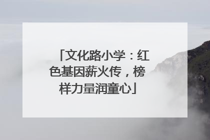 文化路小学：红色基因薪火传，榜样力量润童心