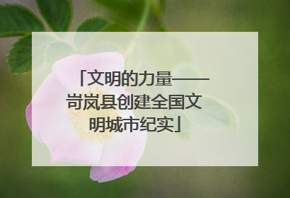 文明的力量——岢岚县创建全国文明城市纪实