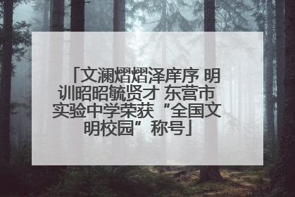 文澜熠熠泽庠序 明训昭昭毓贤才 东营市实验中学荣获“全国文明校园”称号