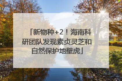 新物种+2！海南科研团队发现素贞灵芝和自然保护地壁虎