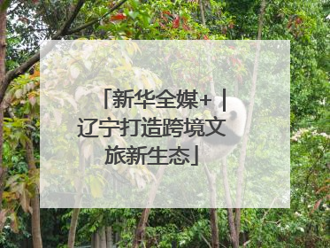 新华全媒+｜辽宁打造跨境文旅新生态