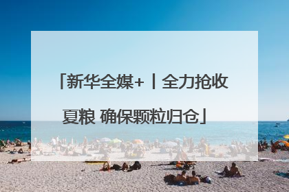 新华全媒+丨全力抢收夏粮 确保颗粒归仓