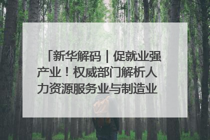 新华解码｜促就业强产业！权威部门解析人力资源服务业与制造业融合发展试点